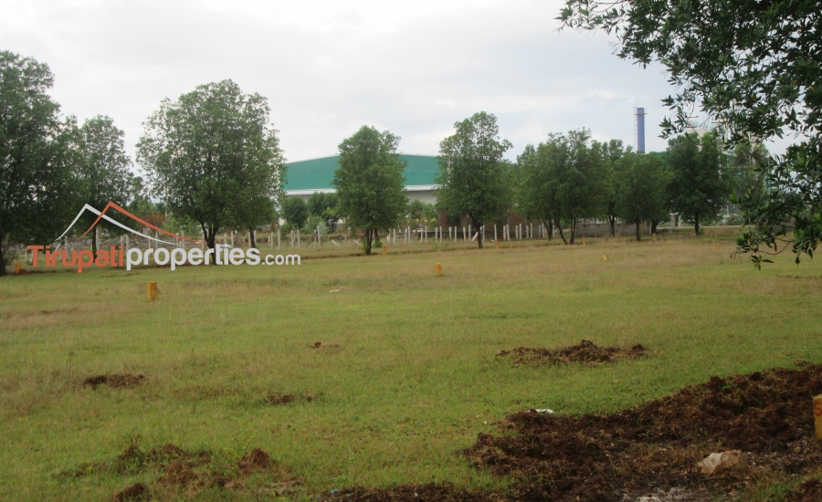 DTCP Approved Plots for Sale at Pangur to Sri Kalahasthi 100’ft Road